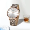 Factory wholesale of light luxury niche wristwatches, simple and versatile women's watches, creative leather strap waterproof quartz watches Specification image